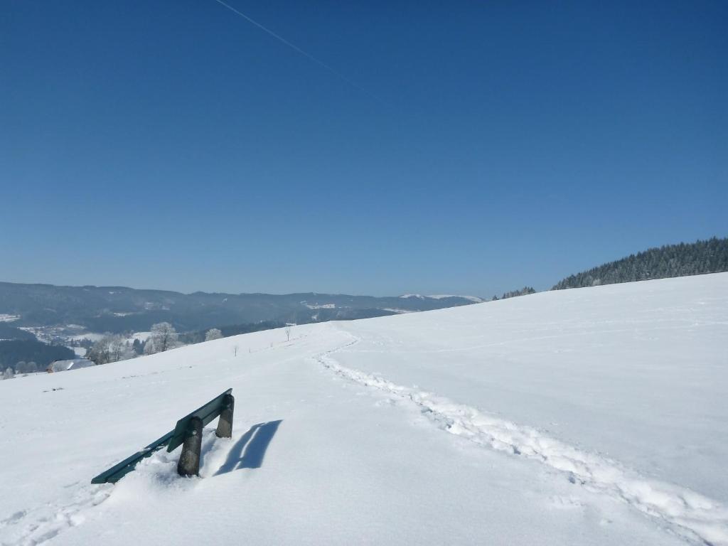 Gaestehaus Hundelbach Lenzkirch Dış mekan fotoğraf