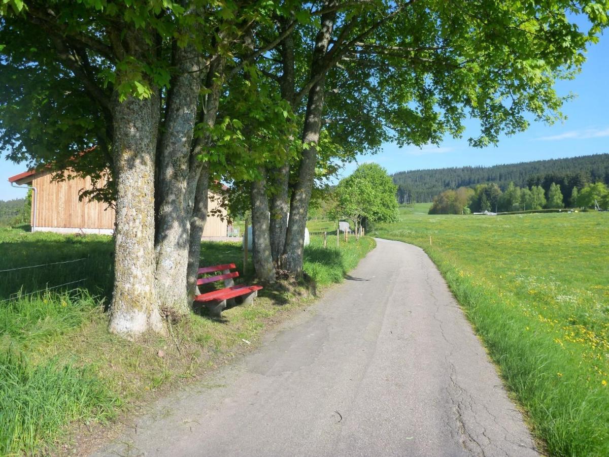 Gaestehaus Hundelbach Lenzkirch Dış mekan fotoğraf
